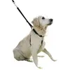 Image de Harnais Dressage Maxi Leader Gentle Dog Noir T 4