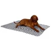 Image de Couverture Stella - Couverture Pour Chien