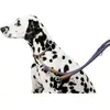 Image de Collier pour chien en corde