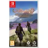 Image de Outward (Definitive Edition) Switch