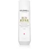 Image de Goldwell Dualsenses Shampooing Restructurant Réparateur Riche 250 ml