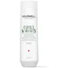 Image de Shampooings Goldwell  Shampooing Boucles  amp; Ondes P30348623