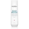 Image de Goldwell Shampooing antipelliculaire Scalp Specialist 250 ml