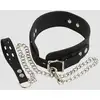 Image de Collier & Laisse Silicone