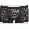 Image de Boxer Noir Baroque