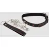 Image de Collier & Laisse Coeurs