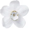 Image de DÃ©co murale OrchidÃ©e blanche 54cm Kare Design