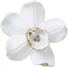 Image de DÃ©co murale OrchidÃ©e blanche 25cm Kare Design