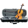 Image de Dimavery Violin Middle-Grade 4/4