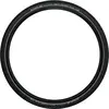 Image de Pneu rigide Schwalbe Delta Cruiser Plus 28x1,50 700x38c Hs431 Act P-Guard Twinskin 28x1,50 700x38