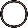 Image de Pneu souple Schwalbe G-One Allround TLR Addix RaceGuard 700x40C