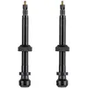 Image de Soupape en tube Schwalbe (x2) 60 mm