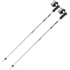 Image de Bâtons de ski LEKI DETECT S (gris/noir) Mixte
