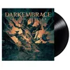 Image de Land Of Witches [Vinyl]