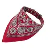 Image de Nobby Collier Avec Bandana Pour Chien