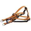 Image de Harnais Pour Chien Nobby Pet Soft Grip