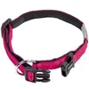 Image de Collier Pour Chien Nobby Pet Soft Grip