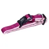 Image de Collier Pour Chien Nobby Pet Classic Preno