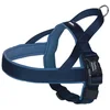Image de Harnais NorvÃ©gien Pour Chien Nobby Pet Classic Preno