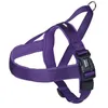 Image de Harnais NorvÃ©gien Pour Chien Nobby Pet Classic Preno