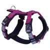 Image de Harnais Pour Chien Nobby Pet Daily Walk Comfort