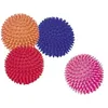 Image de Jouet Pour Chien Nobby Pet Vinyl Igelball Classic