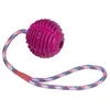 Image de Balle En Caoutchouc Avec Corde Pour Chien Nobby Pet