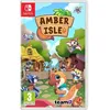 Image de Amber Isle Switch