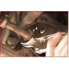 Image de Pince Ã©taux GRIPfix Xtreme, 7