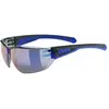 Image de Lunettes Uvex Equate 140x46x16 mm