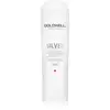 Image de Goldwell Après-shampooing Dualsenses Silver 200ml