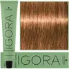Image de Schwarzkopf Igora professionnelle Zero Teinture capillaire à l'ammoniaque 60 ml 10-14 | Ultra Blond cendré beige