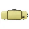 Image de Etui Violon Bioa Lime