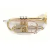 Image de Cornet Sib Detude Roy Benson Cr202