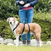 Image de Harnais Stay - S-M: 40-65 Cm/15 Mm, Noir