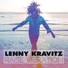 Image de Raise Vibration Edition Super Deluxe (2 Lp + Cd)