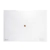 Image de Pochette avec bouton pression - Transparent - 33 x 24 cm