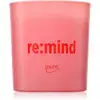 Image de Ipuro Nous sommes : Bougie parfumée Re:Mind 140 G