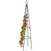 Image de Trellis Pyramide, 204 M De Hauteur, Support Pour Plantes Grimpantes, En MÃ©tal, Stable, Tour Pour Rosier, Noir - Relaxdays