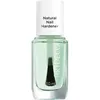 Image de Natural Nail Hardener - Artdeco - Vernis