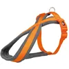 Image de Premium Touring Harnais - Xs-S: 30-40 Cm/15 Mm, Papaye