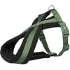 Image de Premium Touring Harnais - L-Xl: 70-100 Cm/25 Mm, Vert ForÃªt