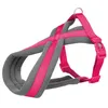 Image de Premium Touring Harnais - S-M: 40-60 Cm/20 Mm, Fushia