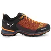 Image de Baskets Basses Salewa Mtn Trainer Lite - 43