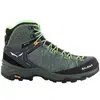 Image de Trail Salewa  Ms Alp 2 P31150916