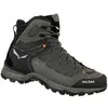 Image de Chaussures Salewa  Trainer Liteid Gtx P30117191