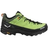 Image de Chaussures Salewa  Alp Trainer 2 Gtx M67834157