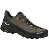 Image de Chaussure de randonnée SALEWA ALP TRAINER 2 GTX M (Bungee Cord/Black) Homme