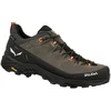 Image de Salewa - Chaussures d'approche en GORE-TEX® - Alp Trainer 2 GTX M Bungee Cord/Black pour Homme - Taille 44 - Marron