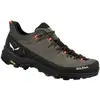 Image de Chaussure de randonnée Salewa Alp Trainer 2 (Bungee Cord/Black) Homme